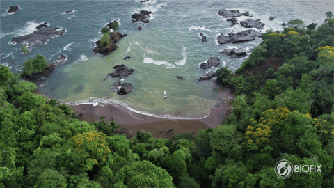 Delfines Cupica REDD+ se destaca en Premios BIBO 2021