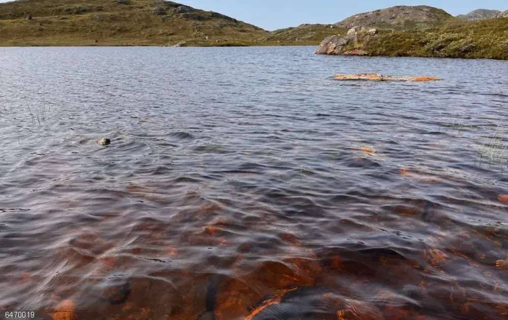 Miles de lagos en Groenlandia se volvieron marrones por el calentamiento global.