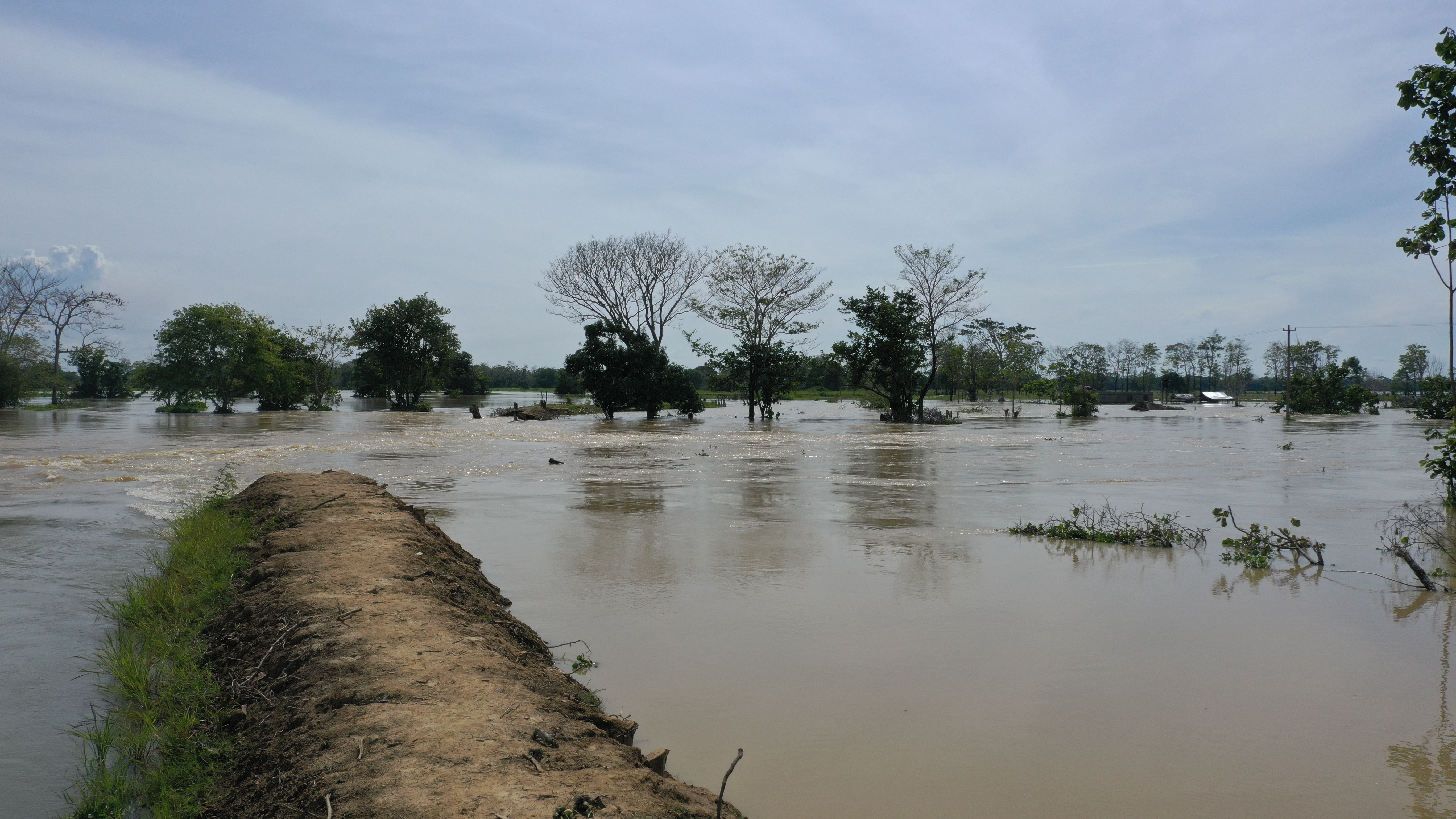 Preocupa también la ruptura, el pasado 20 de abril, del terraplén de Los Arrastres en el corregimiento de Gavaldá, en Guaranda (Sucre), que ha profundizado la emergencia en este y otros municipios de La Mojana./ Camila Granados Arango.