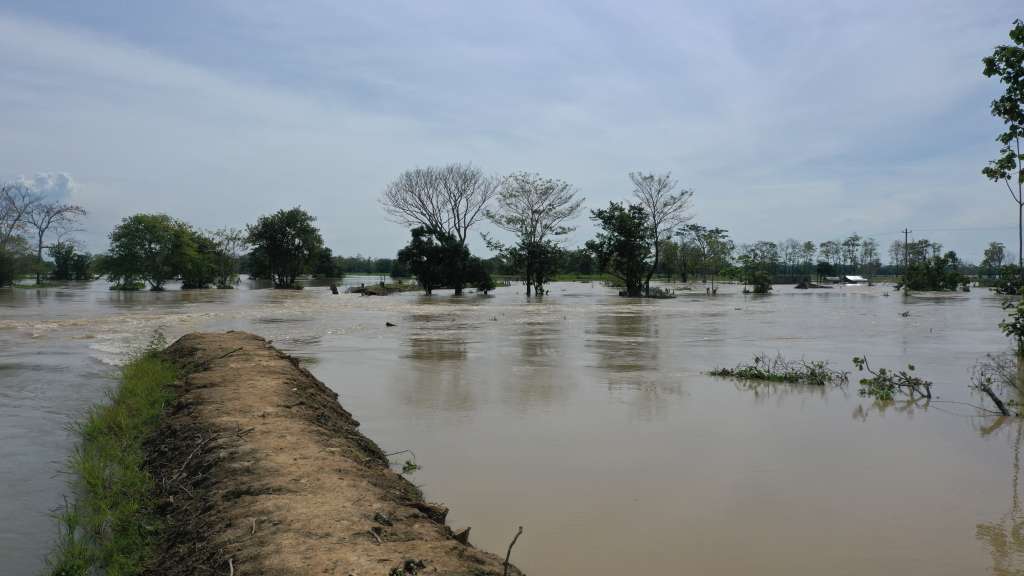 Preocupa también la ruptura, el pasado 20 de abril, del terraplén de Los Arrastres en el corregimiento de Gavaldá, en Guaranda (Sucre), que ha profundizado la emergencia en este y otros municipios de La Mojana./ Camila Granados Arango.