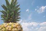 Por primera vez, Colombia exporta piña a Argentina: Mincit
