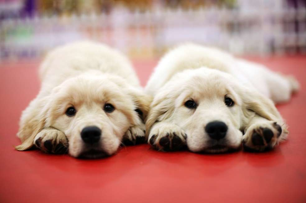 / iStock