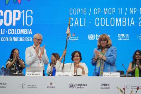 La COP16: patrimonialización y conflicto