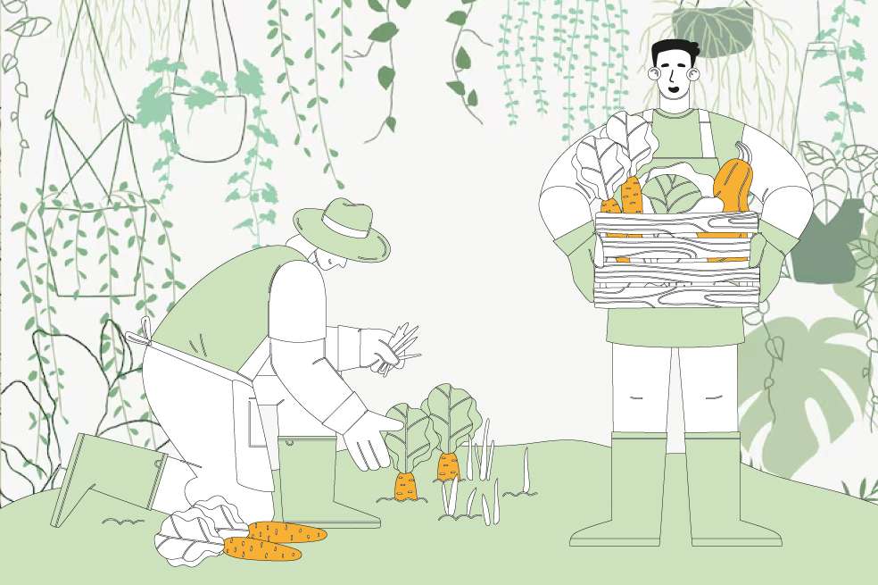 Algunos consejos para montar una huerta