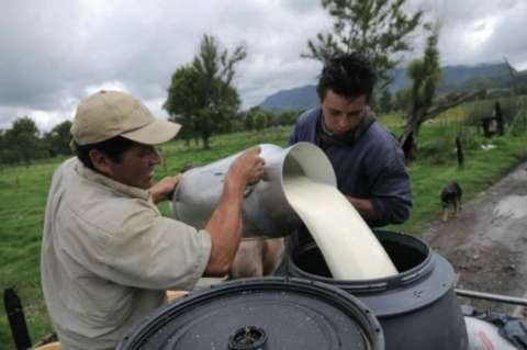 Gobierno busca garantizar $1 billón para los lecheros