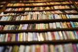 Los libros mentirosos