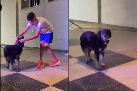 La historia de Negrita, la perra que se “graduó” y acompañó a toda una escuela
