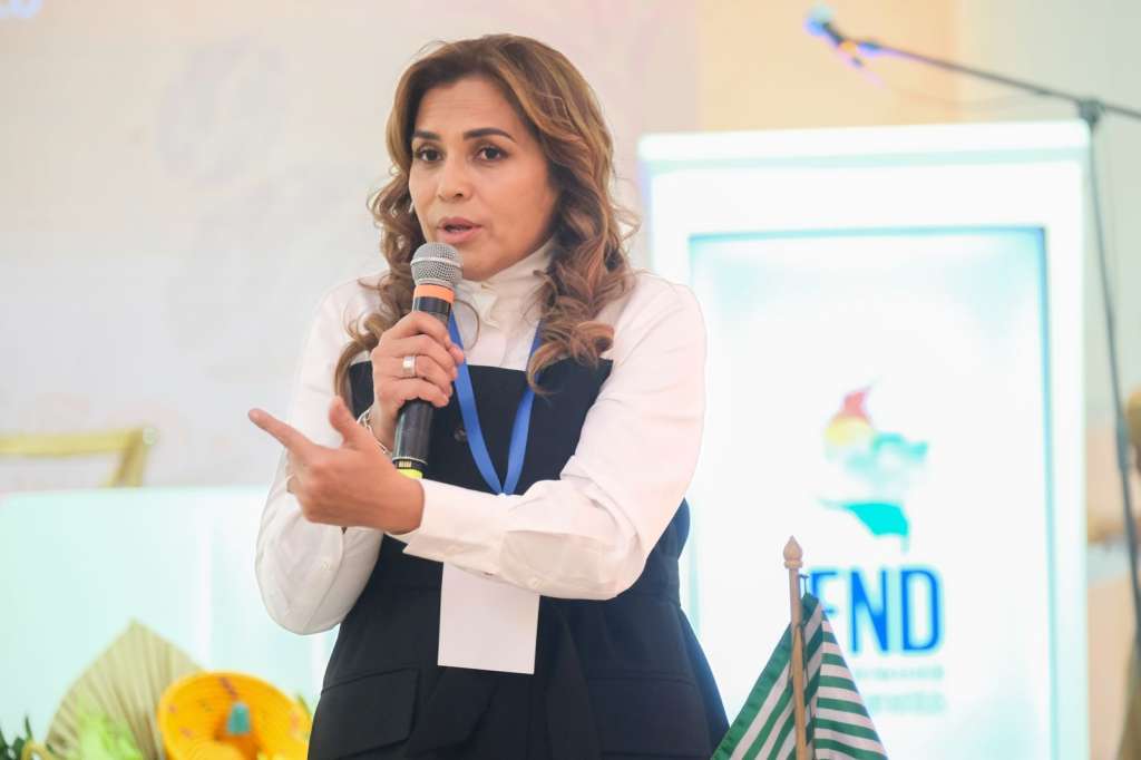 La gobernadora del Meta, Rafaela Cortés, fue enfática en la necesidad de mantener la articulación para combatir la presencia de grupos armados ilegales.