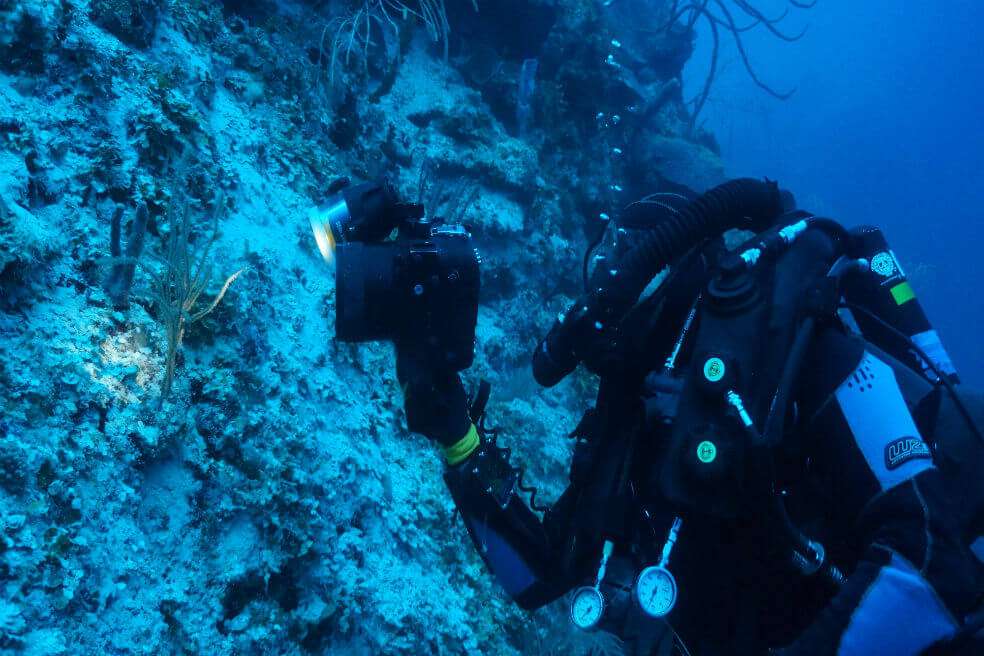  La isla de San Andrés es el único complejo de arrecifes de coral hasta ahora en el Caribe con dos especies documentadas de Stylaster. / Cortesía de Juan Sánchez.