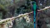 Documental colombiano ‘El país de las Aves’ se estrena este 8 de septiembre