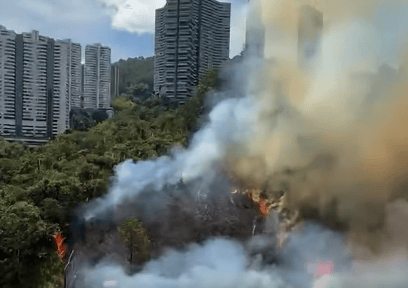 Imagen del video de redes sociales en el que ciudadanos registraron el incendio forestal en la vía Las Palmas, Medellín.