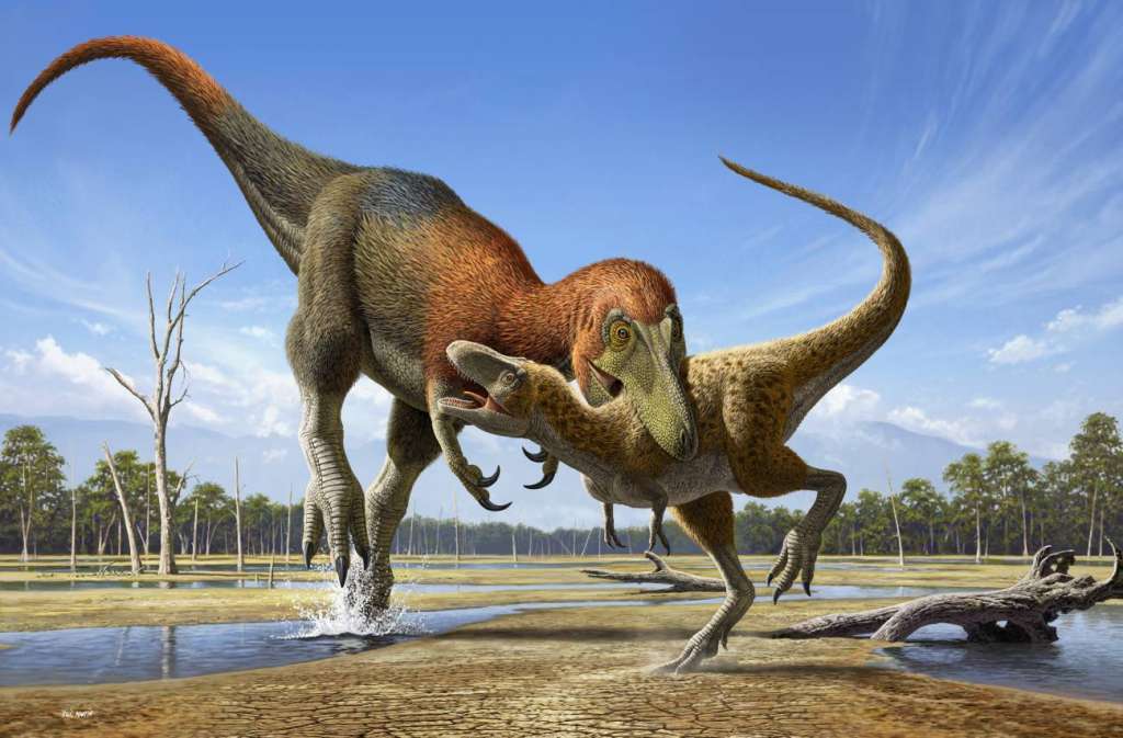 Ilustración de un Nanotyrannus atacando a un joven T. rex.