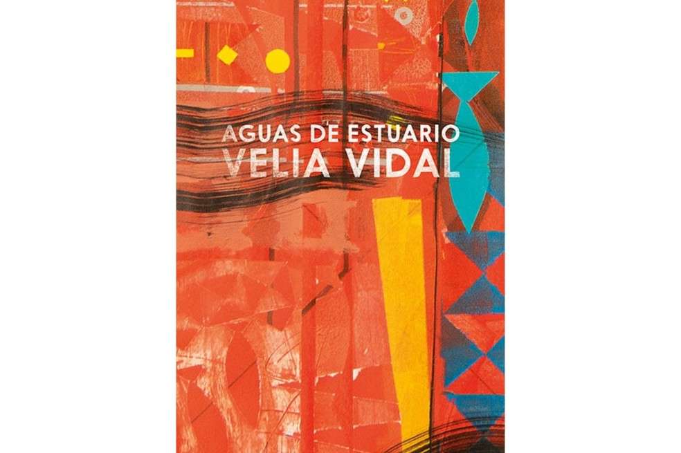 Portada del libro "Aguas de Estuario".