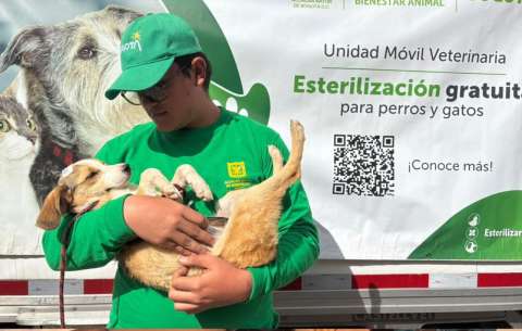 Bogotá abre 3.000 cupos gratuitos de esterilización para perros y gatos en febrero