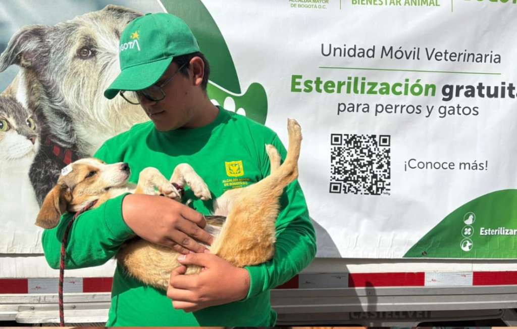 Más de 6.000 mascotas podrán ser esterilizadas gratis en Bogotá este fin de año