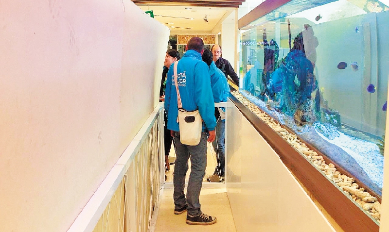 El Distrito aseguró que las 40 especies fueron incautadas “por la tenencia ilegal y exhibición de fauna silvestre”. / Secretaría de Ambiente.