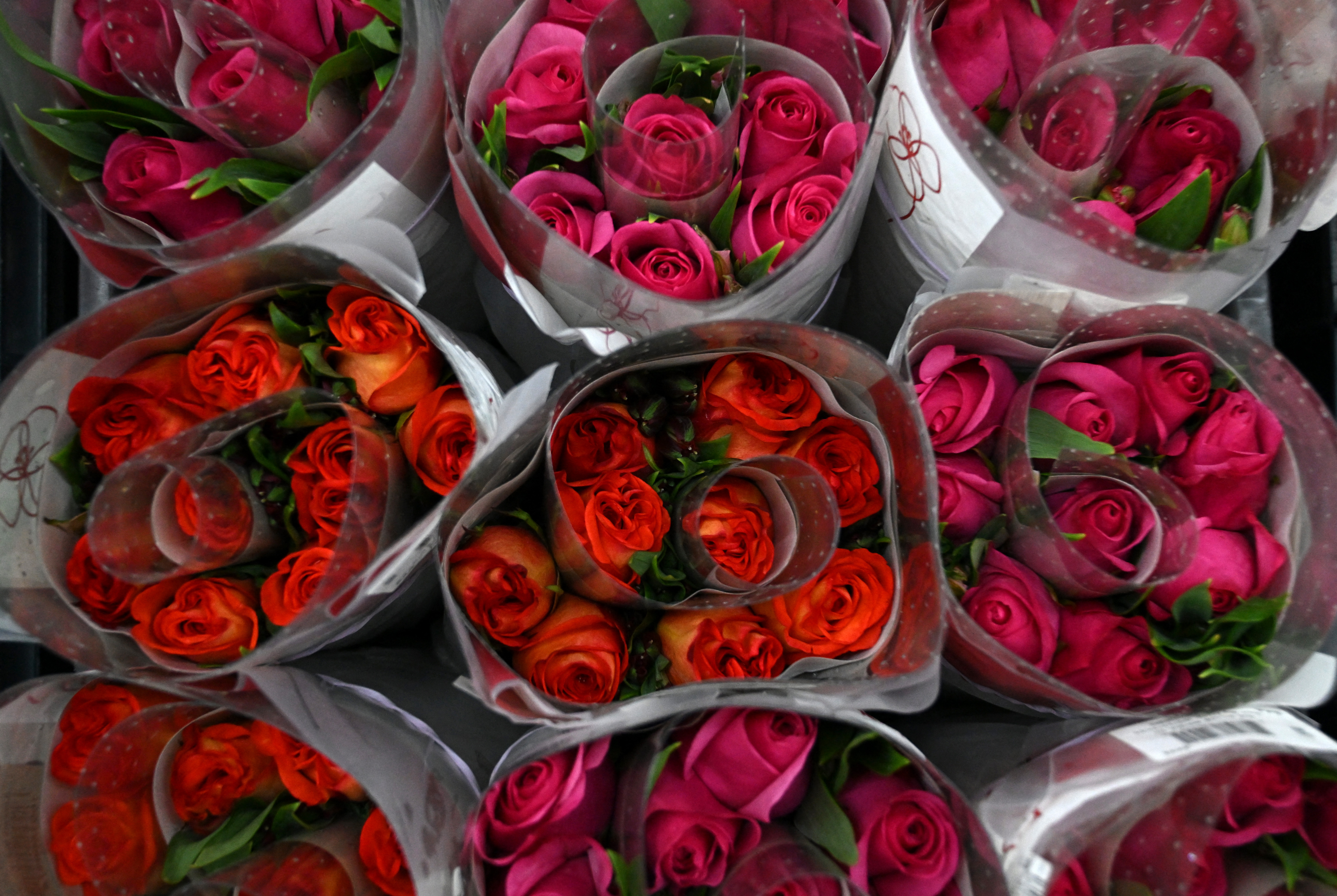 Packed flowers to be exported are pictured at 'Flowers of the Andes' in Bogota on January 31, 2025.