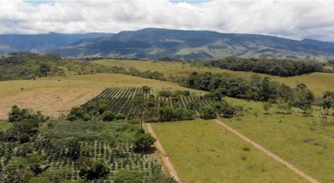 Colombia aumentó sus cultivos y frutos en 2025: este es el mapa de la producción agrícola