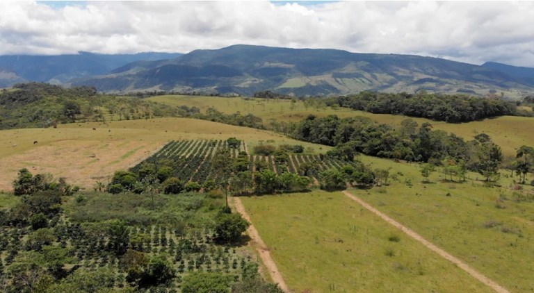 Colombia aumentó sus cultivos y frutos en 2025: este es el mapa de la producción agrícola