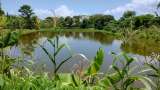 La fórmula para que Colombia logre una agricultura sostenible