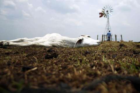 La explicación que hacía falta sobre la grave sequía en los Llanos Orientales