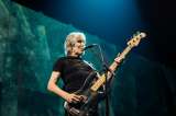 Confirmado: Roger Waters vuelve a Colombia