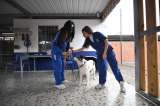 La clase que faltaba: así están enseñando sobre protección animal en colegios de Bogotá