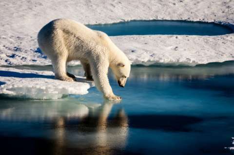 Trump reduciría el presupuesto de la Nasa para investigar cambio climático