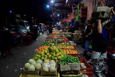 ¿Cuáles fueron los alimentos que más subieron y bajaron de precio en enero de 2026?