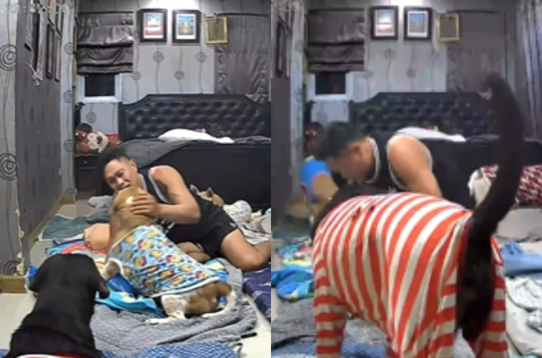 Hombre salvó a su perro con RCP tras una convulsión en la noche (video)