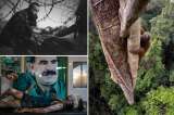 Estas son las fotos ganadoras del World Press Photo 2016