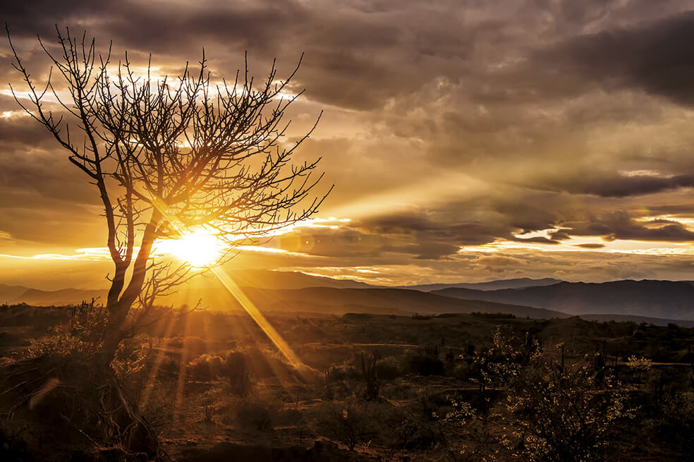 Foto: iStock.