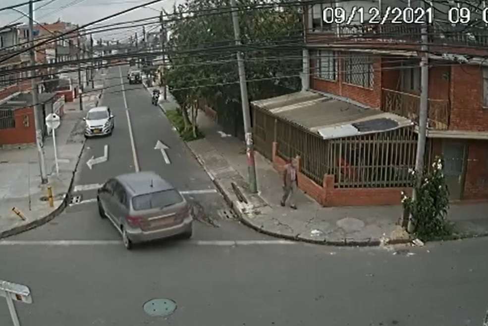 Nuevo caso de maltrato animal: perro fue atropellado y conductor huyó.