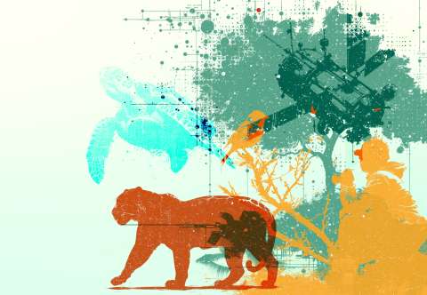 La experiencia de Colombia en el monitoreo de su biodiversidad que será ejemplo en cita internacional
