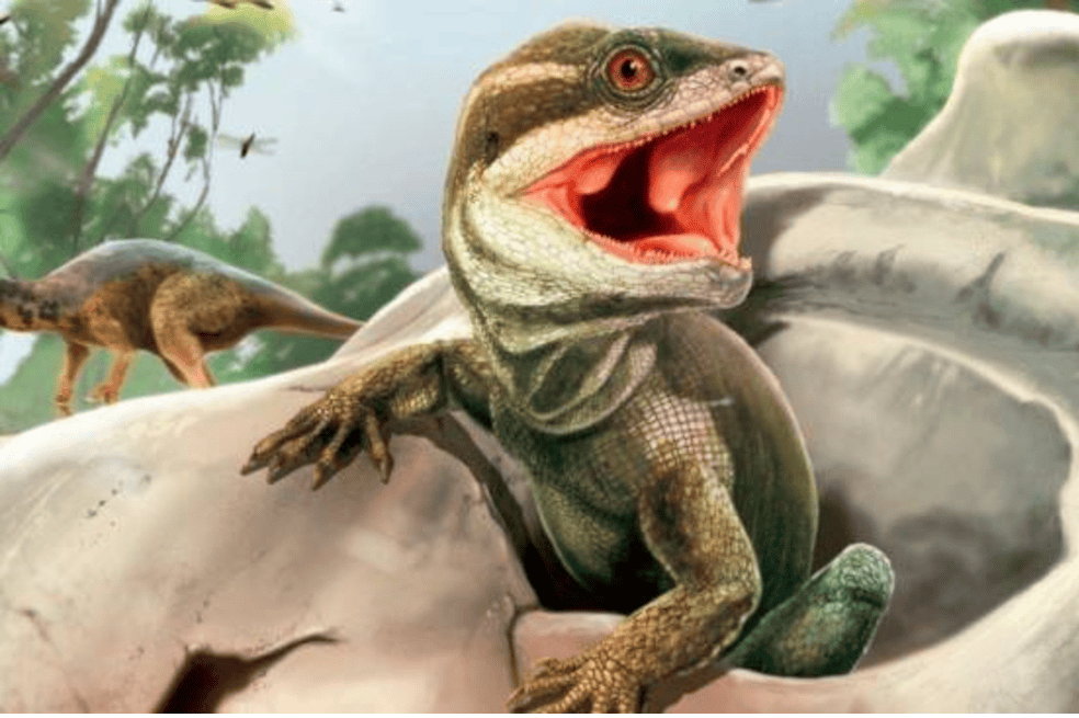 Reconstrucción de Taytalura en su hábitat natural con la conífera extinta Rhexoxylon en Ischigualasto (Argentina), durante el Triásico Superior.