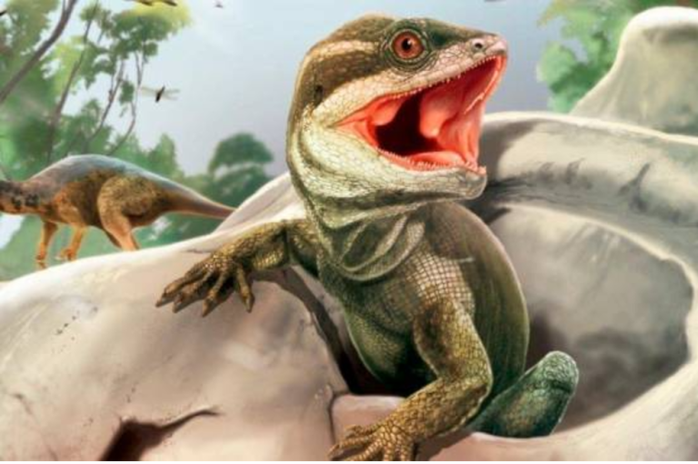 Científicos encuentran nueva especie de reptil ancestral en Suramérica