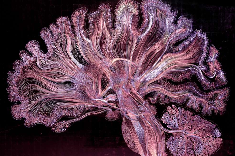 La obra Self Reflected completa, utilizando microetching en luz violeta y luz blanca. / Greg Dunn y Will Drinker