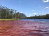 El río colombiano de color rojo que pocos conocen: así puede visitarlo