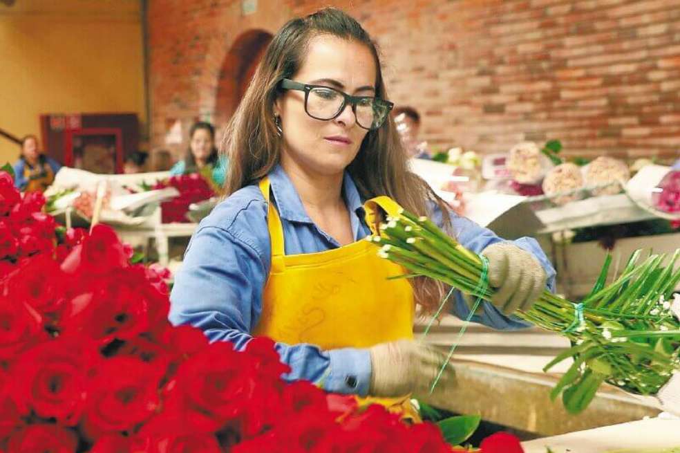 El gremio floricultor estima que para este año exportarán 35.500 toneladas de flores. / EFE