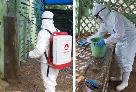 El ICA ha erradicado 27 de los 39 focos de influenza aviar en el país