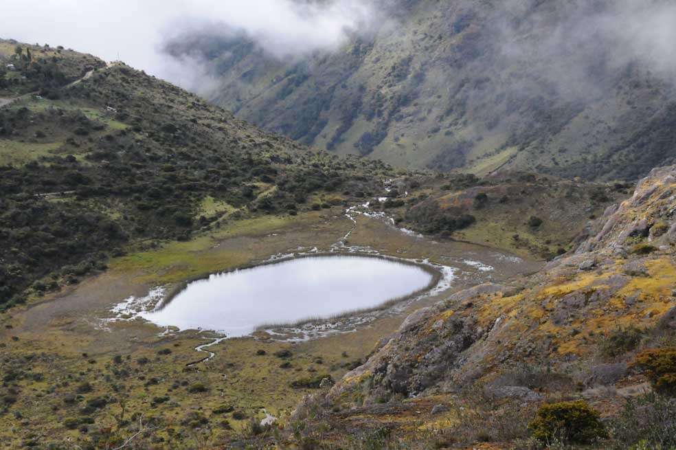Según la Contraloría en el páramo de Santurbán (Santander) las actividades exploratorias han sido suficientes para causar contaminación en las aguas. / Pastor Virviescas