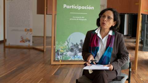 “Hay cosas que pudimos hacer más rápido”: Monzón, directora de Unidad de Búsqueda