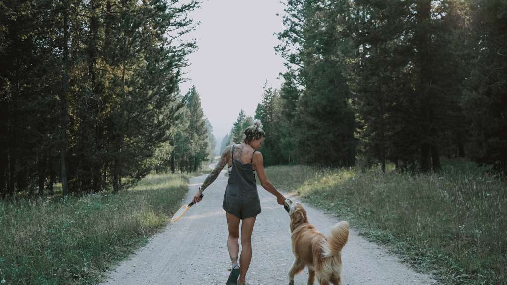 Las 3 razas de perros más inteligentes