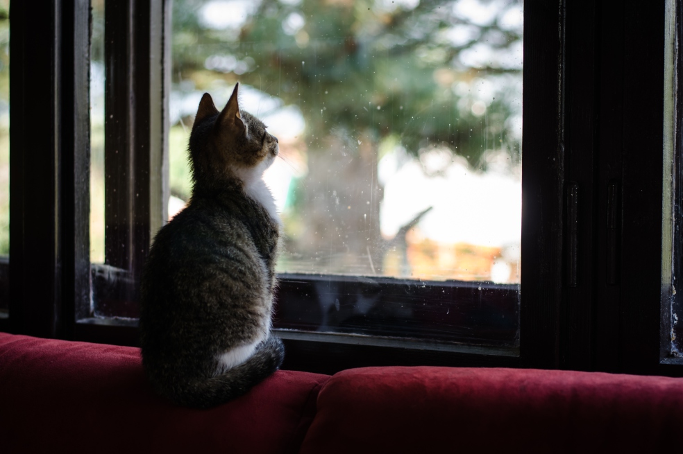 / IStockphoto