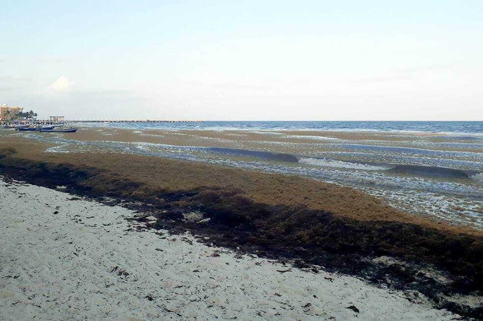 Un reciente estudio, publicado en Nature Climate Change, reveló que en solo 30 años el mar sepultara hasta 100 metros de media a los arenales. / Cortesía