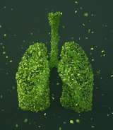 Así celebrará Boehringer Ingelheim los 100 años de su Línea Respiratoria