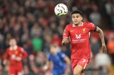 Liverpool vs. Brighton en la Premier League: hora y dónde ver en vivo a Luis Díaz