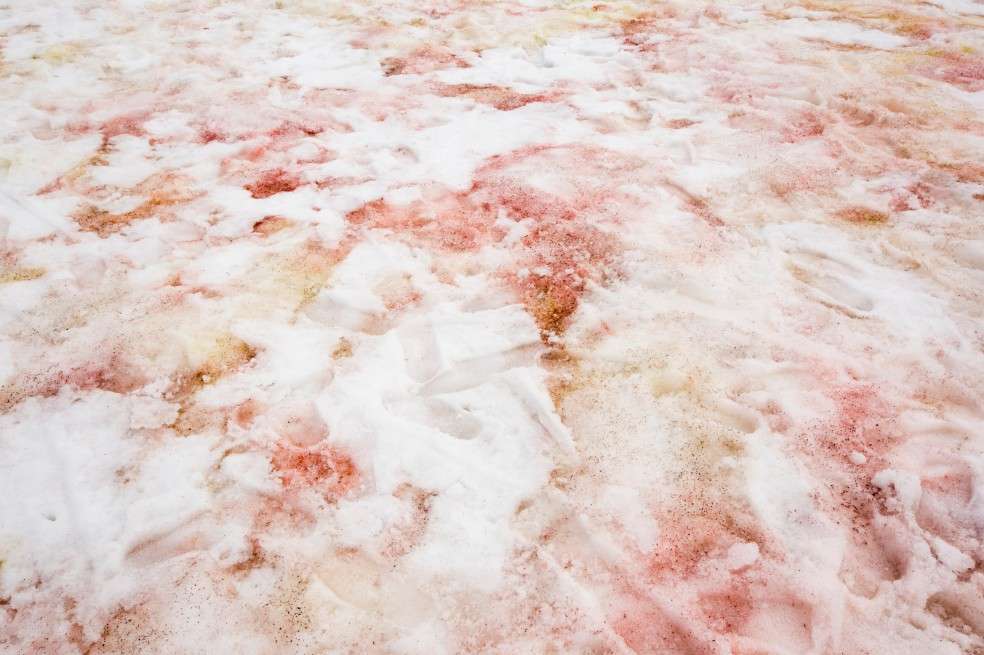 Estos glaciares rojos están ubicados en lo más alto de los Alpes franceses.