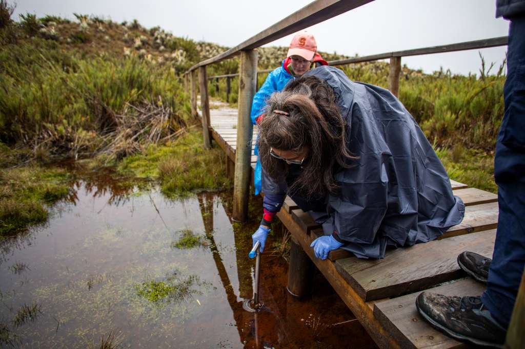 Científicas tomando muestras en la turbera, un tipo de suelo que está constantemente inundado. Por la cantidad de agua, es difícil extraer tierra para el análisis.