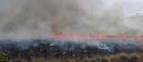 Alerta en las regiones Caribe, Orinoquía y Amazonía por riesgo de más incendios
